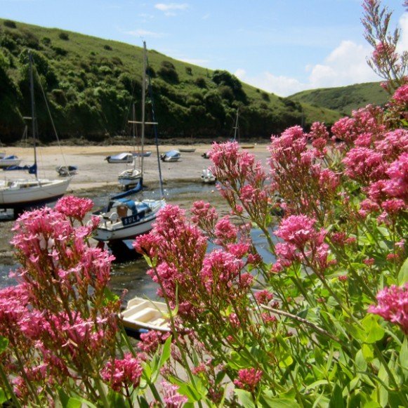 Solva