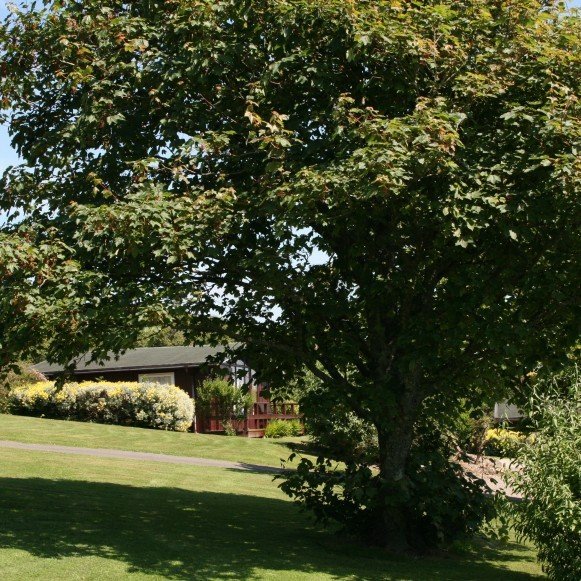 View towards lodge 6