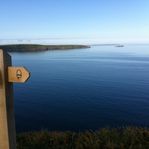 Calm Coast Path 