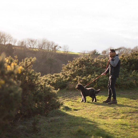 Dog Walking around Pembrokeshire