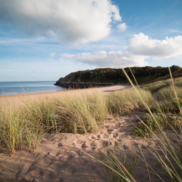 Barafundle Bay Beach Sand Dunes