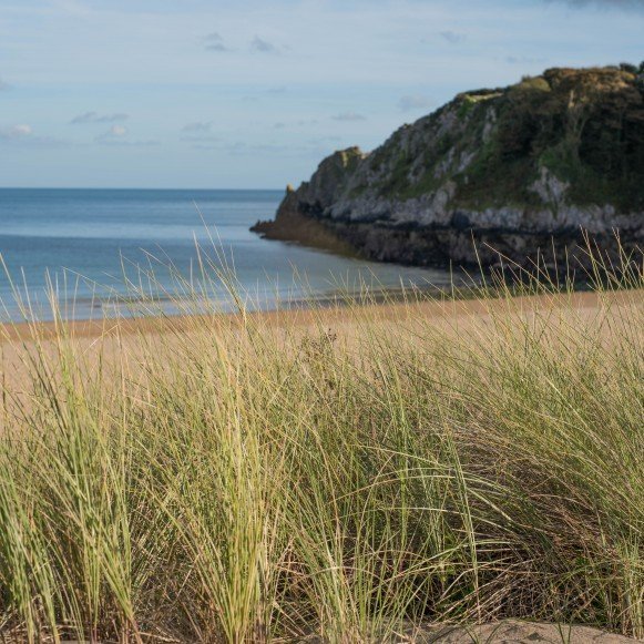 Barafundle Bay Beach Sand Dunes and sea