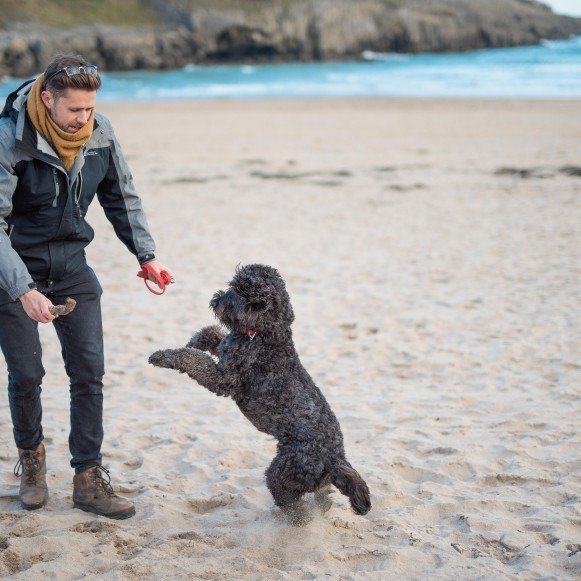 Broad Haven South Dog Friendly Holiday Timber Hill Relax Explore