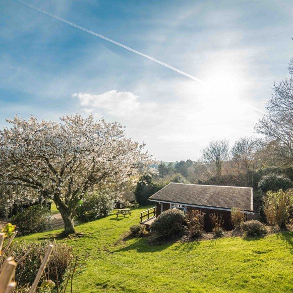 Timber Hill Cherry Tree Views Pembrokeshire