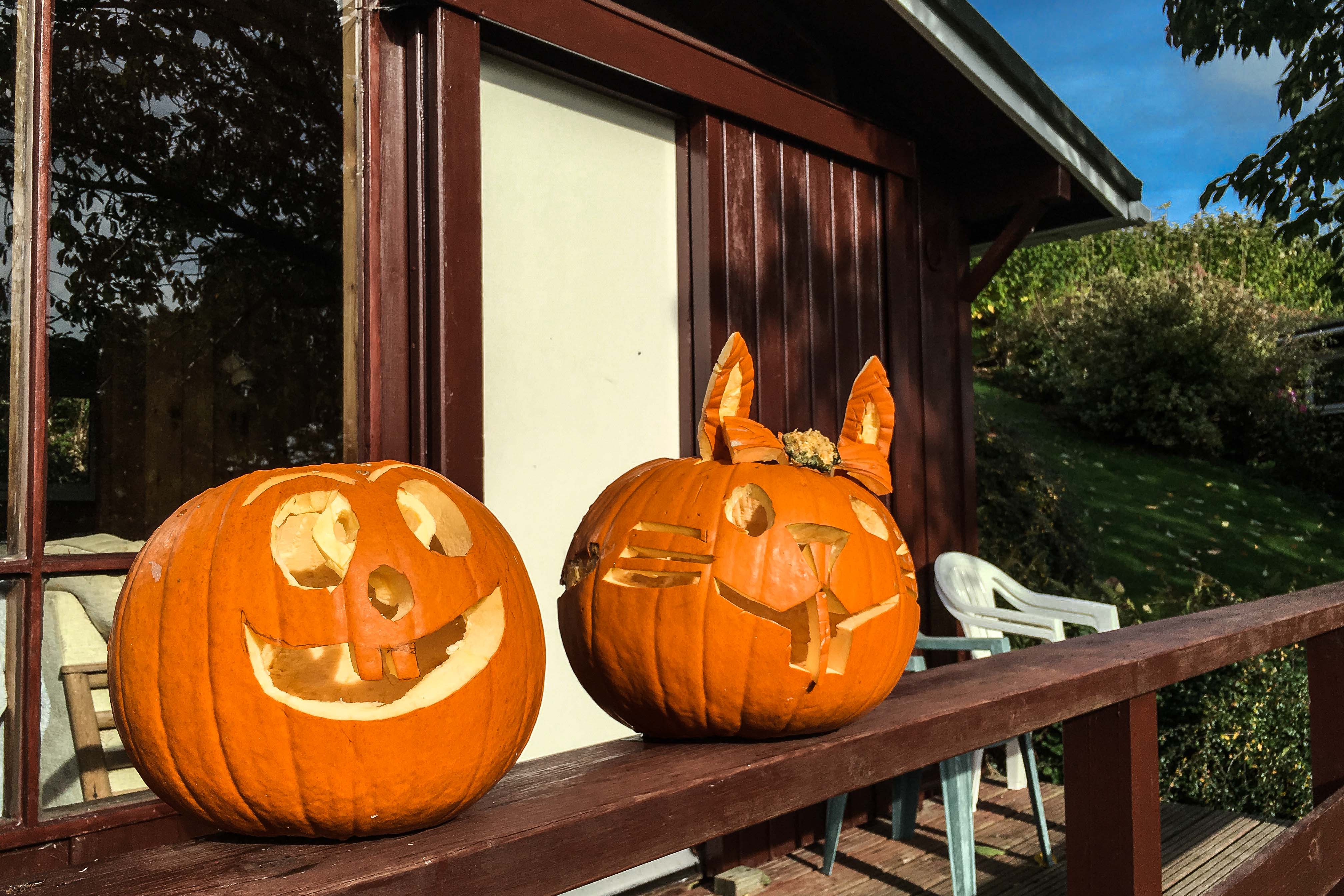 Guests pumpkins displayed by number 14